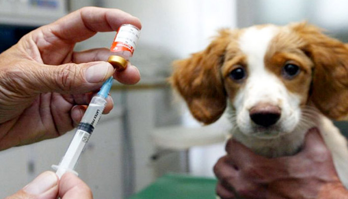 Tiêm vắc xin để phòng bệnh nguy hiểm