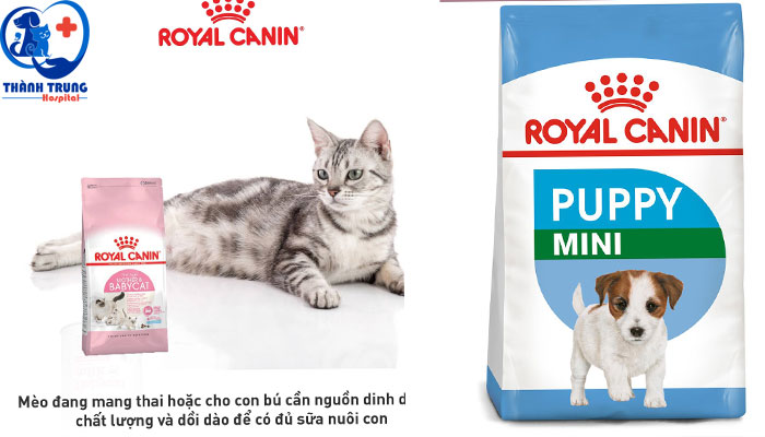 Royal canin Là thức ăn cao cấp chuyên biệt 