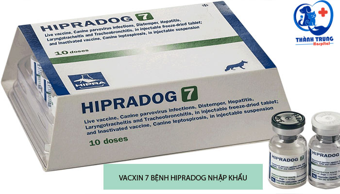 Vacxin 7 bệnh cho chó