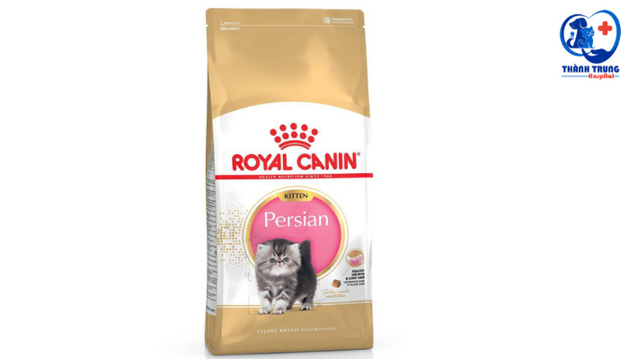 Royal Persian dành riêng cho mèo Ba Tư