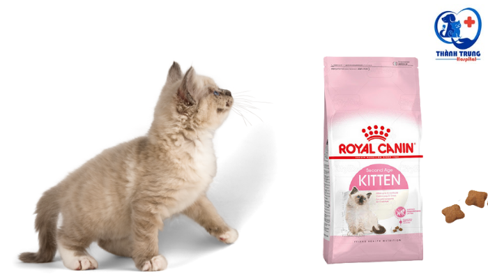 Royal canin Kitten cho mèo con
